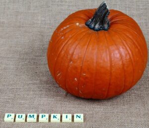 obraz dyni i napis z klocków po angielsku